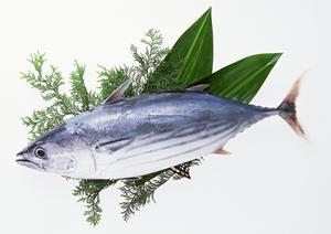 秋葉原の魅力を存分に楽しむ！コンカフェでリアルな恋愛体験を満喫しよう